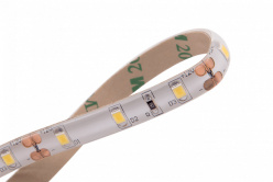 Купить Лента SWG SWG260-12-4.8-WW-65