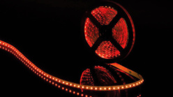 Лента SWG SWG3120-12-9.6-R-M в интернет магазине Гет Лайт