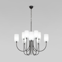 Фото Подвесная люстра Eurosvet 60164/10 черный