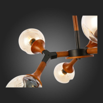 Купить Люстра на штанге Evoluce SLE109402-06