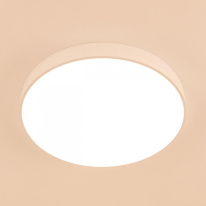 Купить с доставкой по Москве и России Накладной светильник Citilux CL72495G0