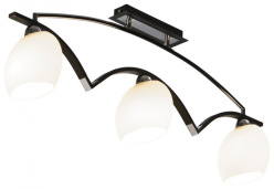 Фото Накладная люстра VELANTE 269-127-03