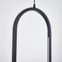 Купить с доставкой по Москве и России Подвесной светильник Favourite 4009-2P