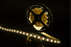 Лента SWG SWG660-12-12-NW в интернет магазине Гет Лайт