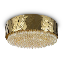 Фото Накладная люстра Maytoni MOD017CL-05BS