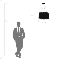 Купить с доставкой по Москве и России Подвесная люстра Lightstar 816107