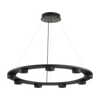Подвесная люстра Odeon Light 6631/75L Фото Подвесная люстра Odeon Light 6631/75L