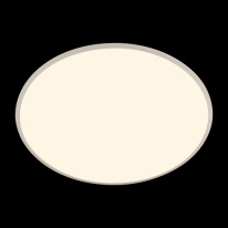 Купить с доставкой по Москве и России Накладной светильник LOFT IT 10226 White