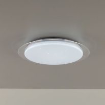 Купить с доставкой по Москве и России Накладной светильник Citilux CL734330G