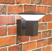 Купить с доставкой по Москве и России Светильник настенный Citilux CLU02W