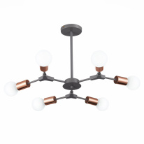 Фото Люстра на штанге Evoluce SLE106403-06