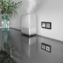 Купить Розетка Werkel W1171606