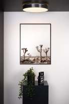 Купить Накладной светильник LUCIDE 79184/24/30