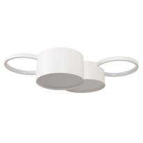 Фото Накладной светильник LOFT IT 10317/4 White