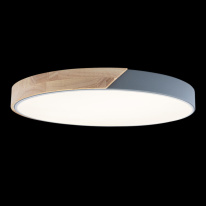 Цена на Накладной светильник LOFT IT 10004/36 Grey