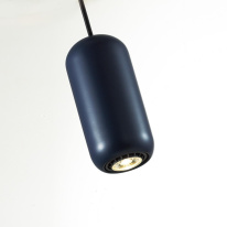 Подвесной светильник Odeon Light 5060/1C Цена на Подвесной светильник Odeon Light 5060/1C