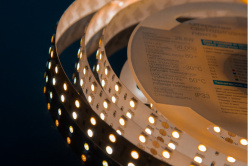 Купить с доставкой по Москве и России Лента DesignLed DSG5120-24-W+WW-33