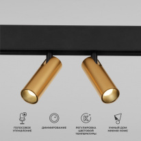 Фото Светильник на шине Elektrostandard 85056/01 Slim Magnetic (латунь)