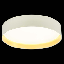 Накладной светильник Evoluce SLE300552-01 в интернет магазине Гет Лайт