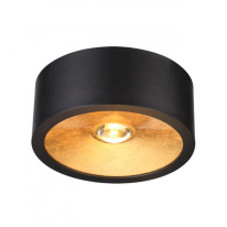 Накладной светильник Odeon Light 6669/1CL Купить Накладной светильник Odeon Light 6669/1CL