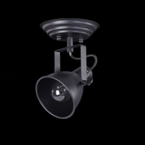 Купить Спот Freya FR4276-CW-01-B