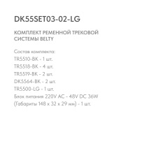 Трек-система Denkirs DK55SET03-02-LG в интернет магазине Гет Лайт