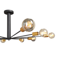 Купить с доставкой по Москве и России Люстра на штанге Vitaluce V4790-1/10PL