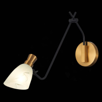 Бра Evoluce SLE205401-01 Цена на Бра Evoluce SLE205401-01