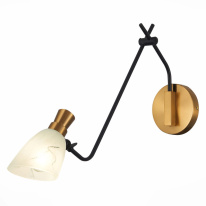 Бра Evoluce SLE205401-01 Фото Бра Evoluce SLE205401-01