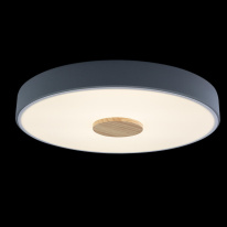 Накладной светильник LOFT IT 10003/24 Grey в интернет магазине Гет Лайт