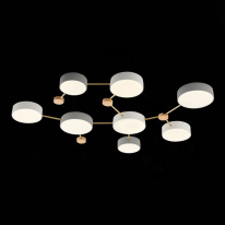 Накладной светильник Evoluce SLE600102-08 в интернет магазине Гет Лайт