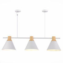 Фото Подвесная люстра Evoluce SLE125103-03