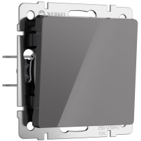 Фото Выключатель Werkel W1110044