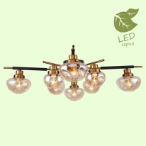 Фото Накладная люстра Lussole GRLSP-8142