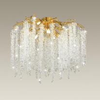 Купить Накладная люстра Odeon Light 5005/8C