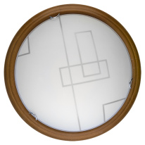 Фото Накладной светильник TOPLIGHT TL9540Y-00OA