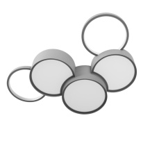 Купить Накладной светильник LOFT IT 10317/5 Grey