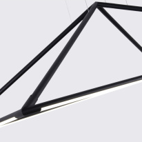 Купить Подвесная люстра Favourite 4573-2P