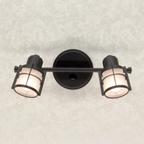 Фото Спот Citilux CL563521