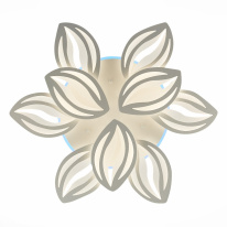 Накладная люстра EVOLED SLE501352-09RGB в интернет магазине Гет Лайт