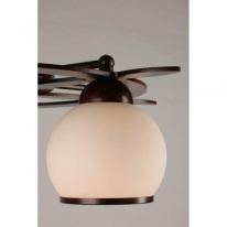 Цена на Накладная люстра Omnilux OML-50507-05