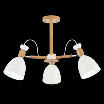 Цена на Люстра на штанге Evoluce SLE103802-03