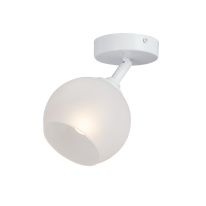 Фото Накладной светильник Vitaluce V4313-0/1PL