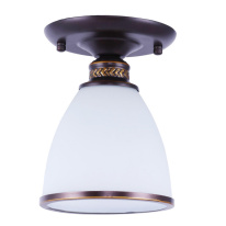 Фото Накладной светильник ARTE Lamp A9518PL-1BA