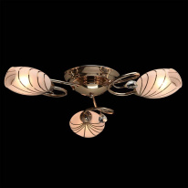 Купить с доставкой по Москве и России Накладная люстра MW-Light 267012803