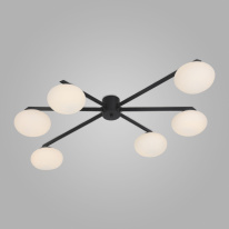 Фото Накладная люстра Eurosvet 70220/6 черный