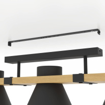 Цена на Накладной светильник EGLO 43955