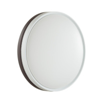 Фото Накладной светильник Sonex 7668/DL