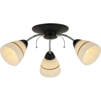 Фото Накладная люстра TOPLIGHT TL1255D-03BC