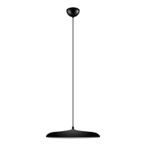 Подвесной светильник LOFT IT 10119 Black Фото Подвесной светильник LOFT IT 10119 Black